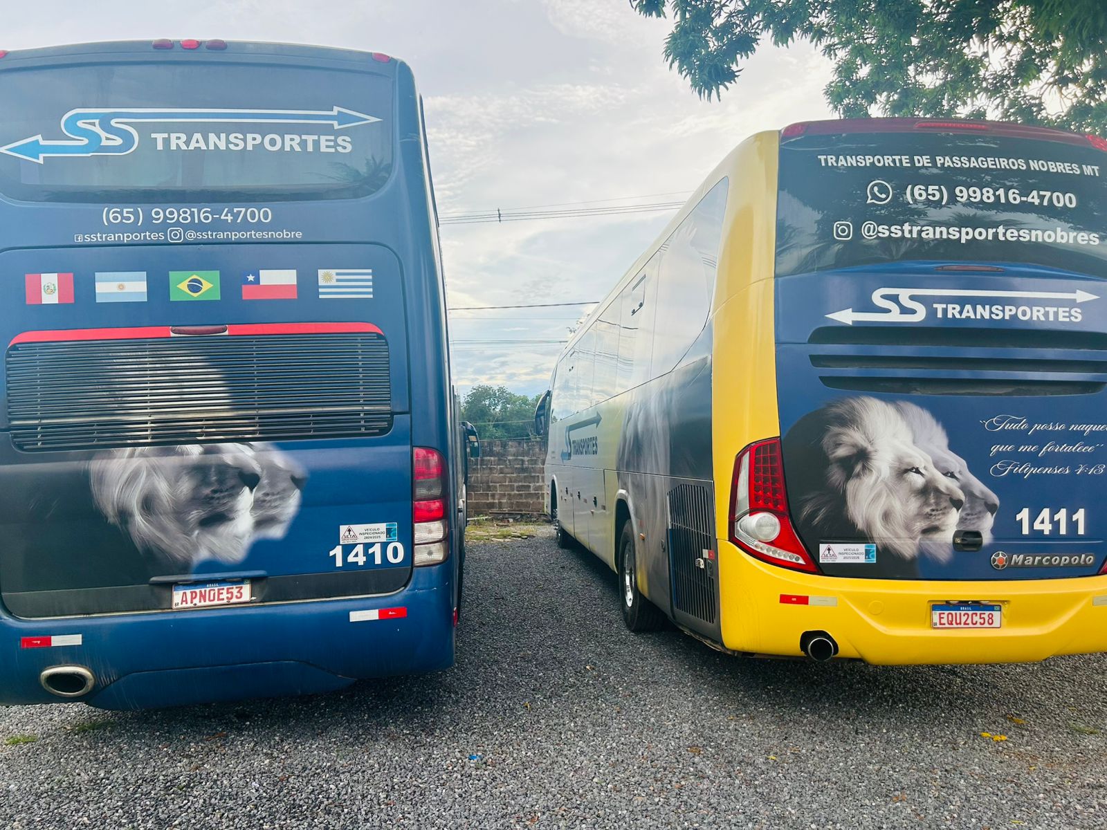 Estrutura interna do ônibus