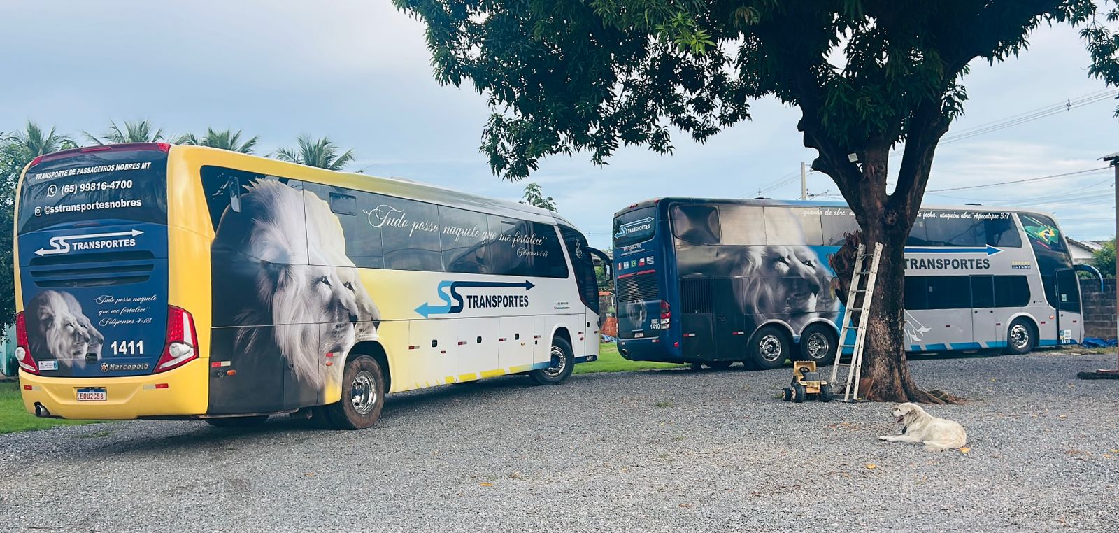 Fretamento e turismo